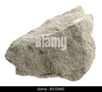 La pietra focaia. Roccia sedimentaria campione Foto stock - Alamy