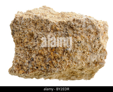 Oolitic calcare. Roccia sedimentaria campione Foto Stock