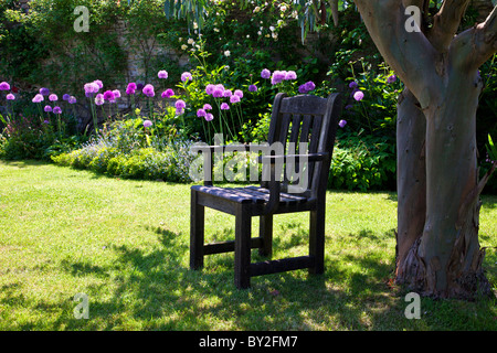 Un sedile in legno in un angolo ombreggiato sotto un albero in un paese di lingua inglese giardino estivo Foto Stock