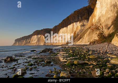 Chalk scogliere e Spiaggia di Jasmund National Park in Rügen / Rügen isola sul Mar Baltico, Germania Foto Stock