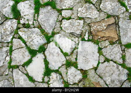 Texture of old stone path with green grass Foto Stock