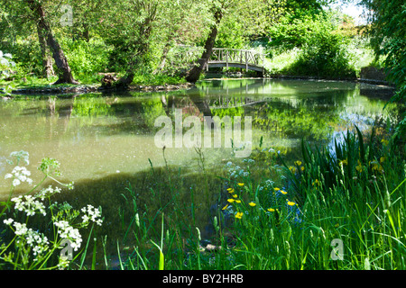 Un grande stagno ornamentale o piccolo lago con un rustico ponte di legno in un paese di lingua inglese giardino in estate Foto Stock