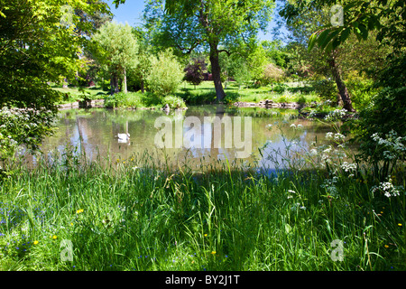 Un grande stagno ornamentale o piccolo lago in un paese di lingua inglese giardino in estate Foto Stock