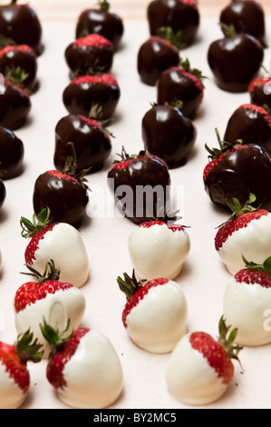 Dark e il cioccolato bianco fragole immerse in un vassoio Foto Stock