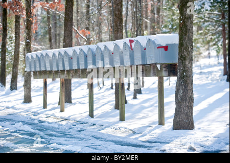 Una fila di coperta di neve delle caselle di posta contro un sfondo boscoso. Foto Stock