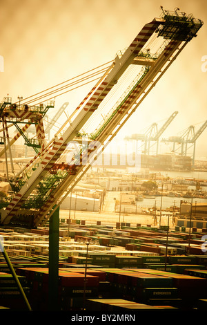 Gru e banchine di carico presso i porti di Long Beach e Los Angeles, California. Foto Stock