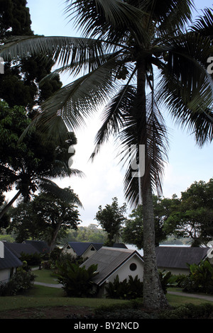 TROPICAL RESORT VANUATU BDA Foto Stock