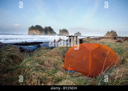 Un arancio tenda situata tra l'erba alta e pile di mare in lontananza vicino La spingere Washington. Foto Stock