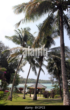 TROPICAL RESORT VANUATU BDA Foto Stock