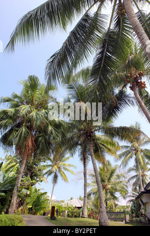 TROPICAL RESORT VANUATU BDA Foto Stock