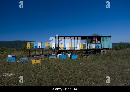Apiario mobili in Adygei highlands Foto Stock