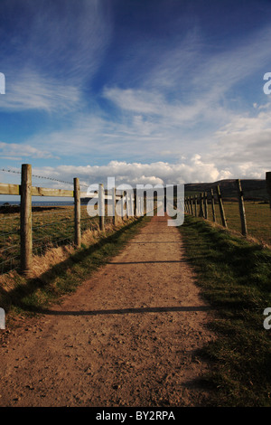 Il camminatore solitario sul North Yorkshire sentiero costiero REGNO UNITO Foto Stock