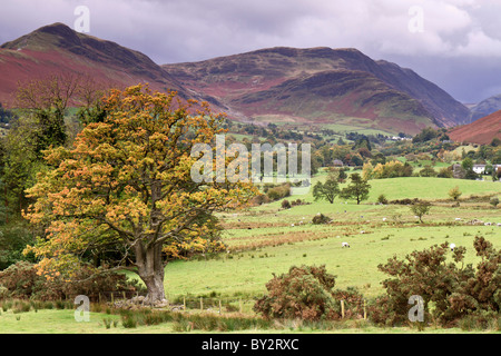 La Cumbria Regno Unito Newlands Valley Foto Stock