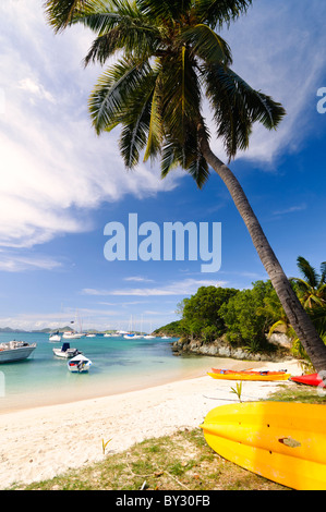 CRUZ BAY, St. John, Isole Vergini americane: Kayak colorati fiancheggiano la spiaggia di Christian Cove a Cruz Bay, la città principale e il porto di ingresso a St. John nelle Isole Vergini americane. Queste vivaci moto d'acqua offrono ai visitatori l'opportunità di esplorare la costa e di divertirsi in acqua, mostrando le popolari attività all'aperto disponibili su questa isola caraibica. Foto Stock