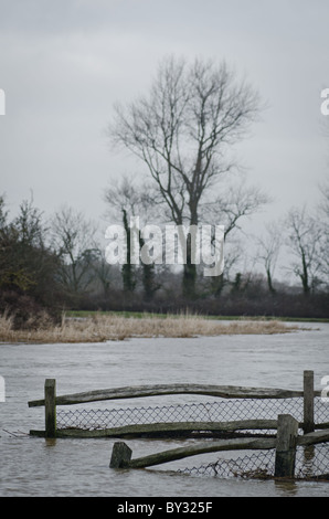 Acqua campo connesso Foto Stock