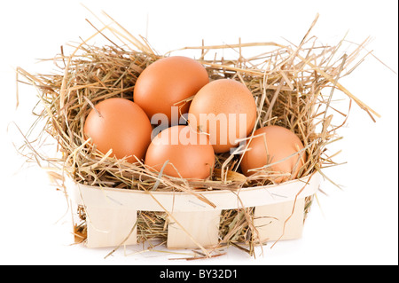 Riprese macro di marrone le uova nel paniere di legno a hay. Profondità di campo Foto Stock