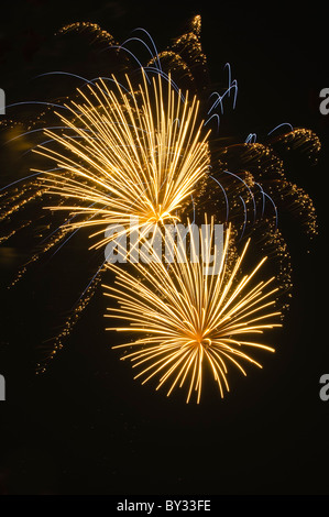 Fuochi d'artificio la luce del cielo notturno, Annapolis, Maryland, Stati Uniti d'America Foto Stock