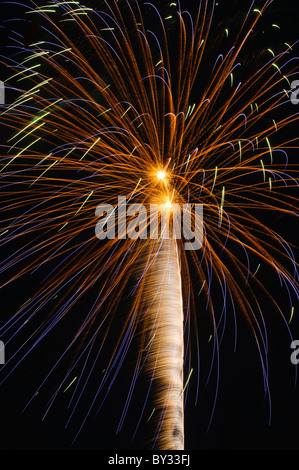 Fuochi d'artificio la luce del cielo notturno, Annapolis, Maryland, Stati Uniti d'America Foto Stock