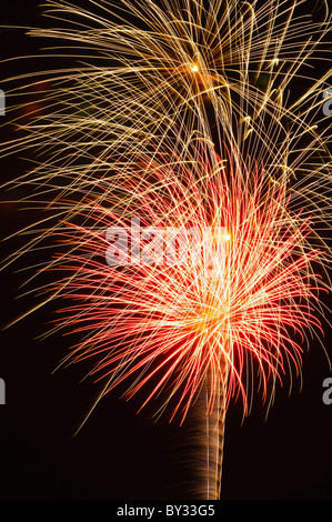 Fuochi d'artificio la luce del cielo notturno, Annapolis, Maryland, Stati Uniti d'America Foto Stock