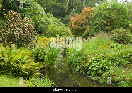 Minterne Abbey House Gardens Dorset Foto Stock