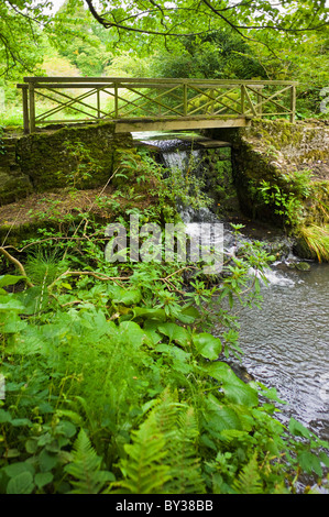 Minterne Abbey House Gardens Dorset Foto Stock