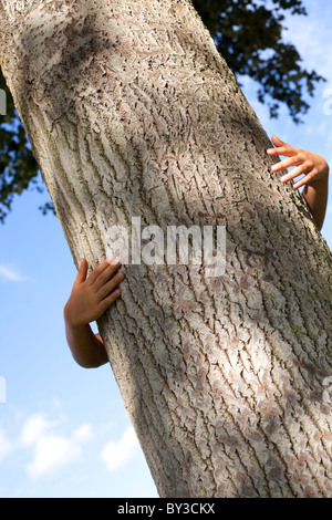 Kid mani abbracciando un tronco di albero Foto Stock