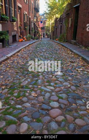 Stati Uniti d'America, Massachusetts, Boston, Beacon Hill, vicoli ciottolosi Foto Stock