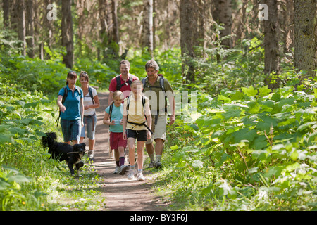 Canada, British Columbia, Fernie, famiglia e cane escursioni nella foresta Foto Stock