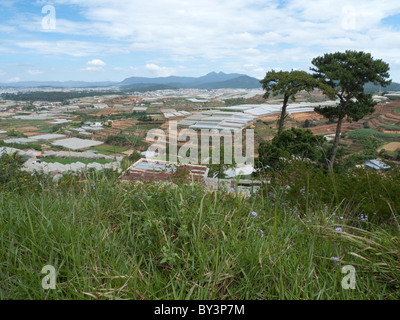 Tipico paesaggio nei pressi di Dalat, Highlands Centrali, Vietnam, Indocina, Asia sud-orientale, Asia Foto Stock