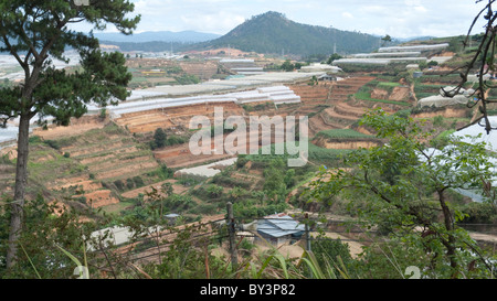 Tipico paesaggio nei pressi di Dalat, Highlands Centrali, Vietnam, Indocina, Asia sud-orientale, Asia Foto Stock