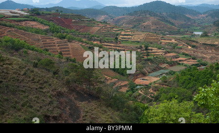 Tipico paesaggio nei pressi di Dalat, Highlands Centrali, Vietnam, Indocina, Asia sud-orientale, Asia Foto Stock