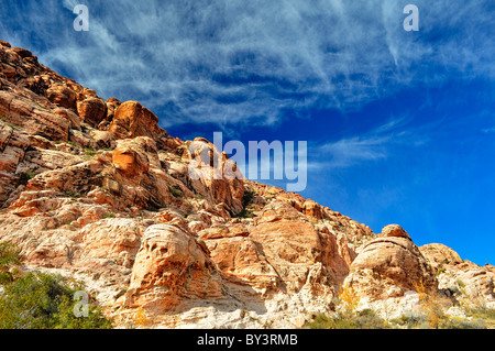 Molla rossa Park, Bacino di Calico, Nevada paesaggio Foto Stock