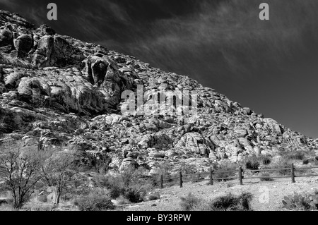 Molla rossa Park, Bacino di Calico, Nevada paesaggio Foto Stock