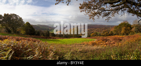 Vista su tutta la valle di WYE dal vicino HEWSFIELD COMUNE IN AUTUNNO Foto Stock