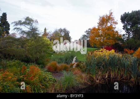 Autunno arbusti intorno a un laghetto in giardino. RHS HYDE HALL ESSEX. Regno Unito. Foto Stock