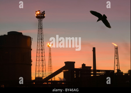 Rischi dovuti alle emissioni da Corus acciaierie a Redcar REGNO UNITO Foto Stock