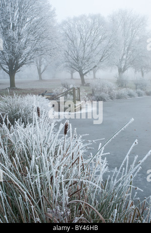 Nebbioso e gelido di scena a un lago nel Warwickshire Foto Stock