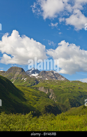 Rocky robusto Kenai Mountains sulla Penisola di Kenai vicino a Seward Alaska Foto Stock