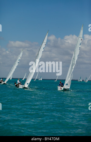 International Star Class Yacht racing durante la Bacardi Cup 2009 Biscayne Bay Florida Foto Stock