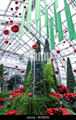 Giardino botanico di Montreal decorazioni natalizie Montreal Canada // MONTREAL, Canada - gli alberi sono decorati per Natale all'interno del Giardino botanico di Montreal, uno dei più grandi giardini botanici al coperto del mondo, con una gamma di ambienti diversi, dalle orchidee alle spezie ai cactus. Foto Stock