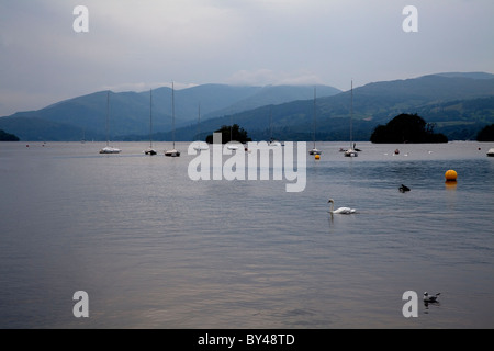 Tarda serata estiva sul lago Windermere nel Lake District inglese Foto Stock