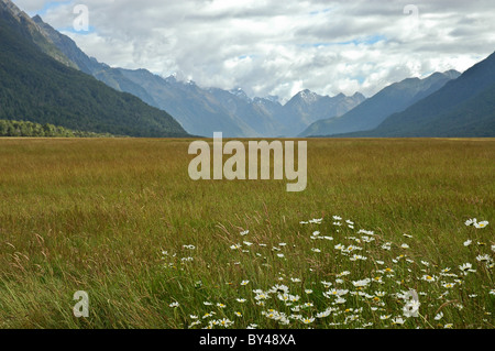 Manopole prateria piatta e alpi del sud montagne Isola del Sud della Nuova Zelanda. Foto Stock