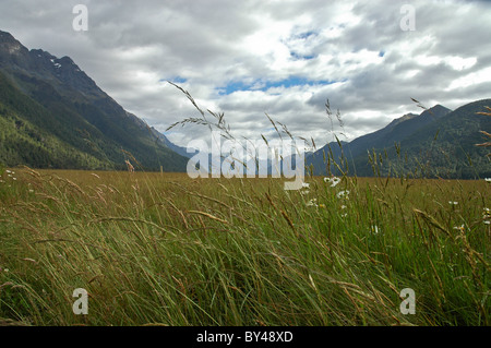 Manopole Appartamento alpi del sud scenario da Milford Road Highway 94 Isola del Sud della Nuova Zelanda. Prati. Foto Stock