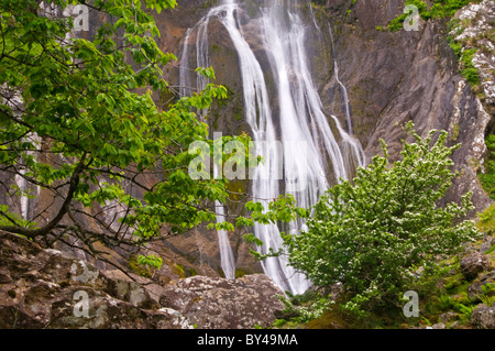 Aber Falls, nei pressi del villaggio di Abergwyngregyn, Manchester, Gwynedd, Galles del Nord, Regno Unito Foto Stock
