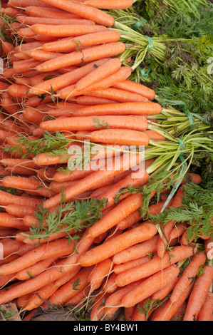 I grappoli di carote in vendita presso il mercato. Foto Stock