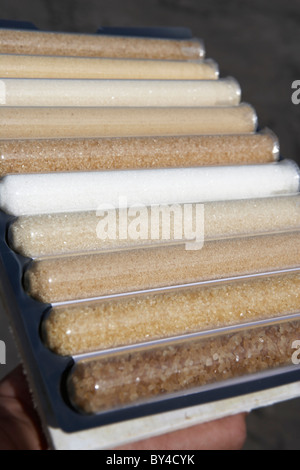 Lo zucchero le provette per la prova Foto Stock