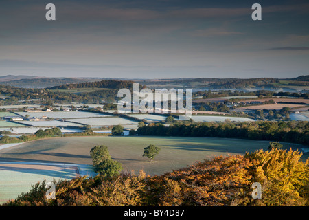 Un primo mattino vista guardando verso nord-ovest da Win Green Hill nel Wiltshire, Inghilterra, Regno Unito. Foto Stock