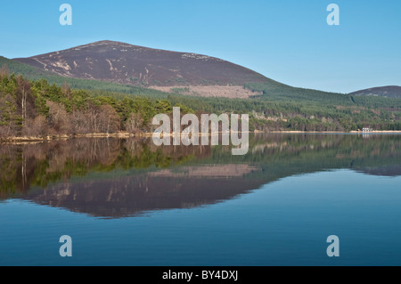 La foresta di pino riflesso sul Loch Morlich nr Aviemore Highland Scozia Scotland Foto Stock