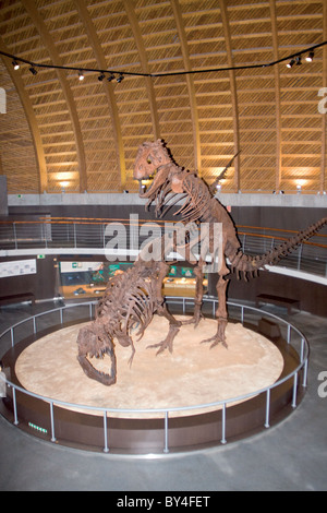 Dinosauro al di fuori del Museo del Jurasico, Colunga, Asturias, Spagna Foto Stock