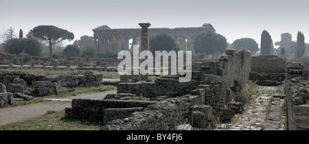 Paesaggio serale con il Tempio di Nettuno, Paestum, vicino a Napoli, Italia Foto Stock